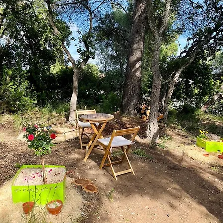 בית נופש Maison A 150m De La Plage, 1200m2 Jardin קבלייר-סור-מר